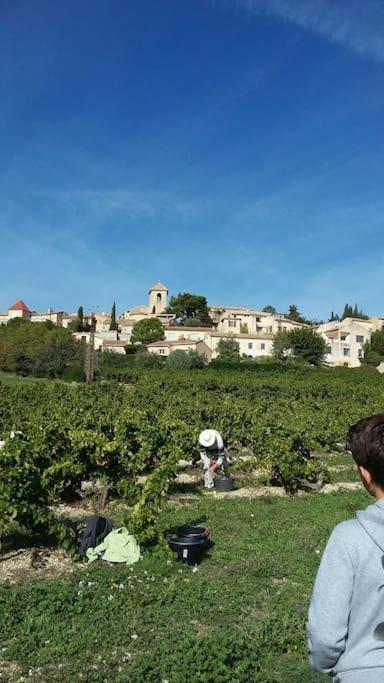 Vinsobres Le Temps Des Cerises. 빌라 외부 사진